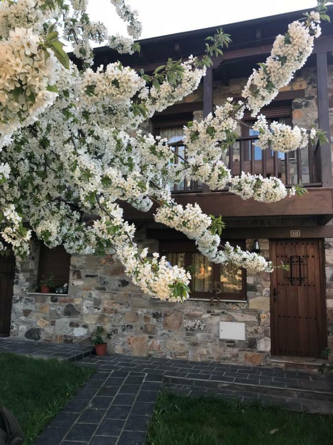 Villa Casa Rural Magdalena Espinareda de Vega Exterior foto